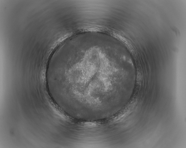 X0000112350394200909031854