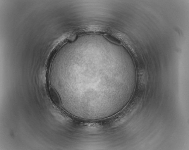 X0000112350395200909031854