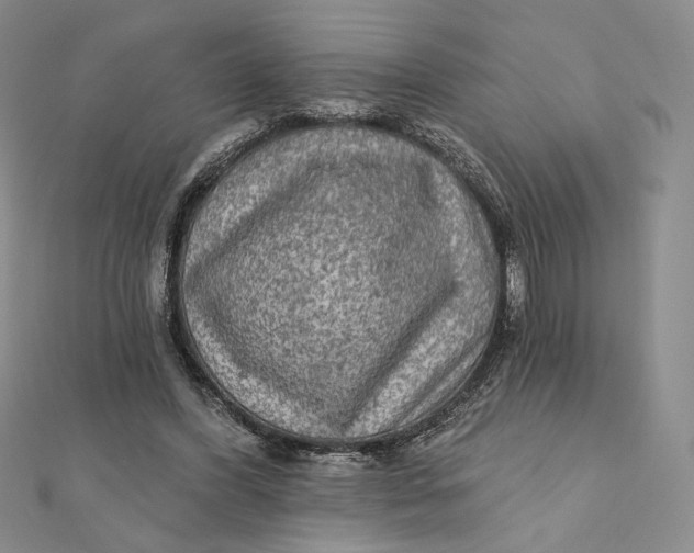 X0000112350396200909031854