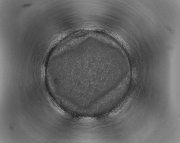 X0000112350397200909031854