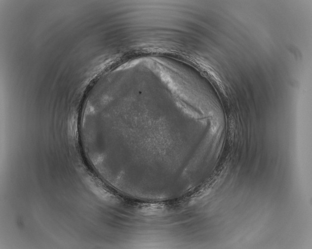 X0000112350398200909031854