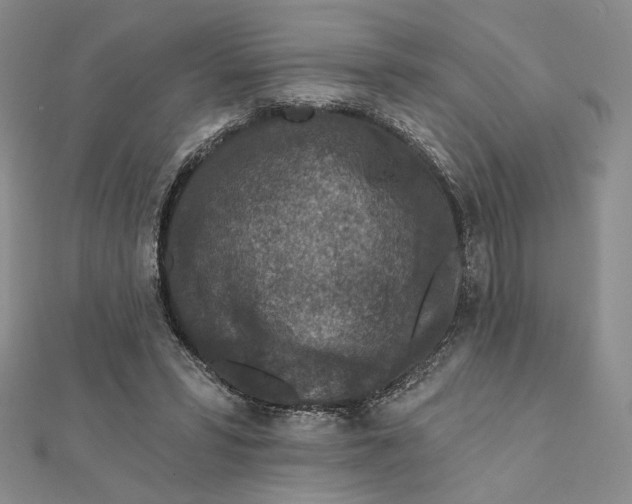 X0000112350399200909031854