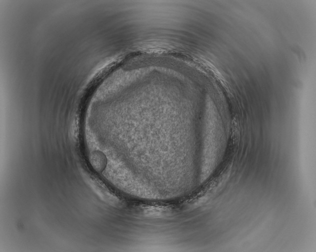 X0000112350400200909031853