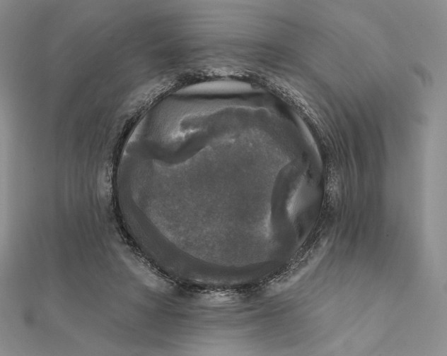 X0000112350402200909031853