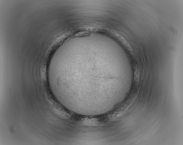 X0000112350403200909031853