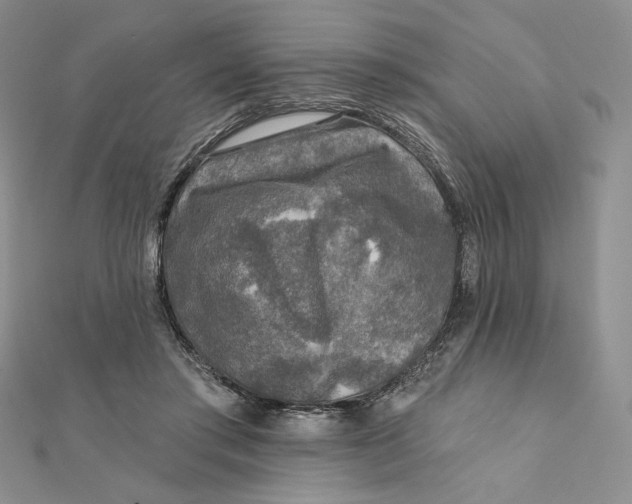 X0000112350405200909031853