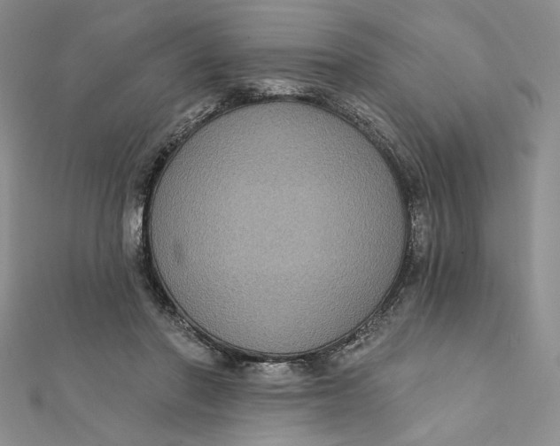 X0000112350406200909031853