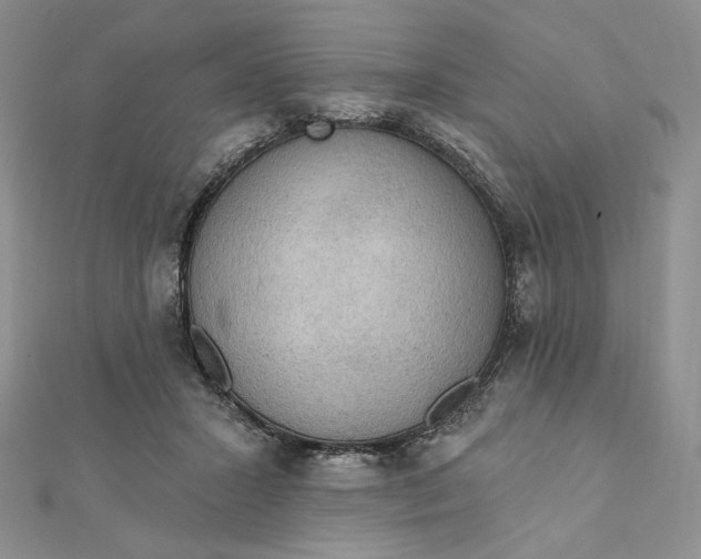 X0000112350407200909031853