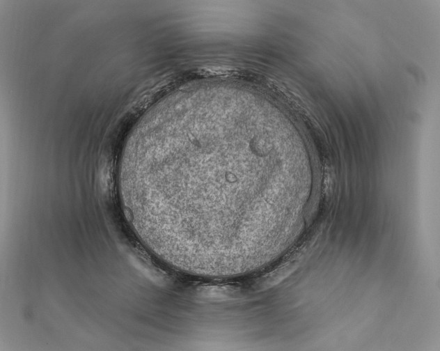 X0000112350408200909031853