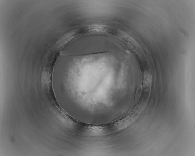 X0000112350409200909031853