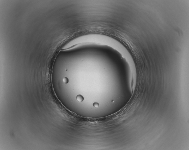 X0000112350411200909031853