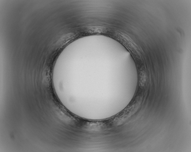 X0000112350414200909031853