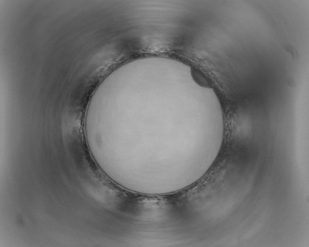 X0000112350415200909031853