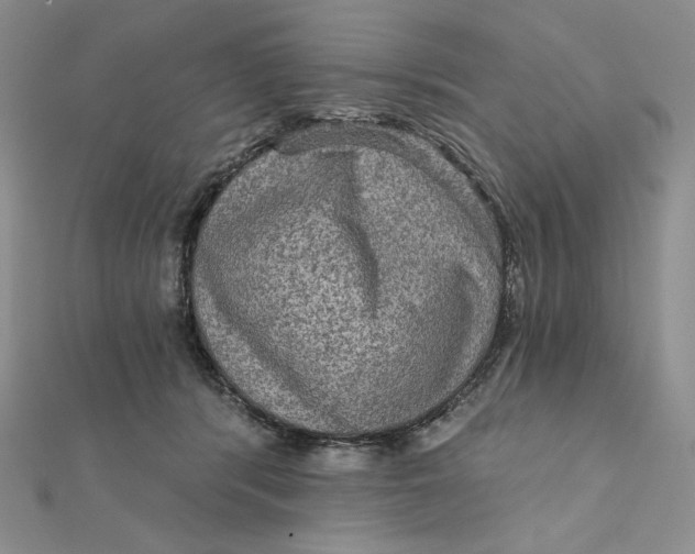 X0000112350416200909031853