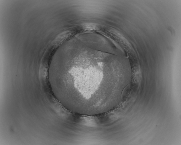 X0000112350417200909031853