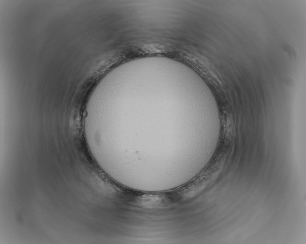 X0000112350418200909031853