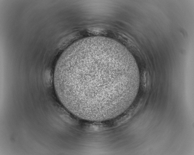 X0000112350420200909031853