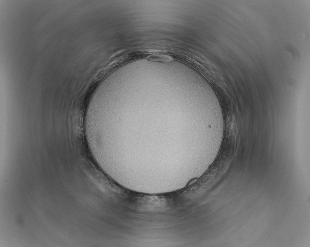 X0000112350421200909031853