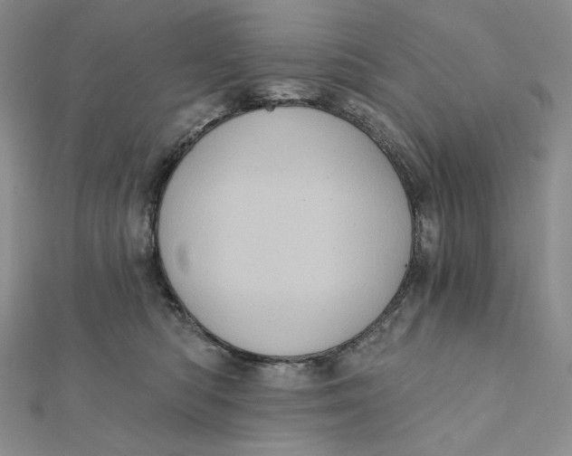 X0000112350422200909031853