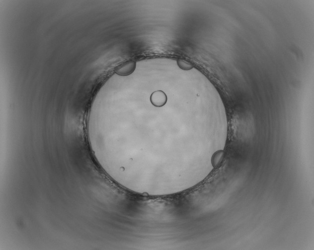 X0000112350423200909031853