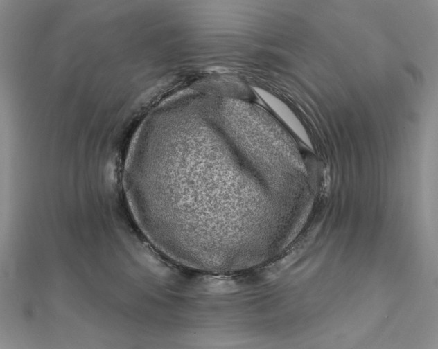 X0000112350424200909031853