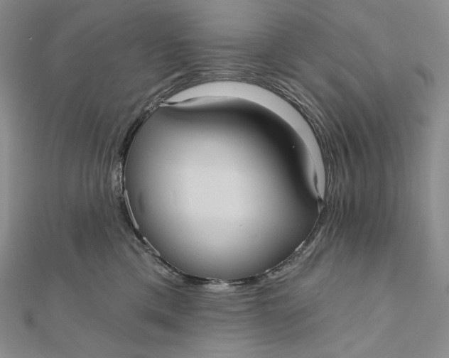 X0000112350425200909031853