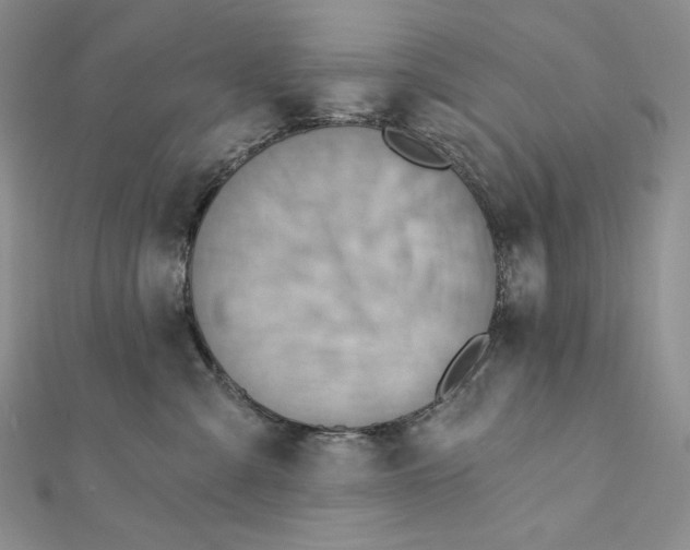 X0000112350427200909031853