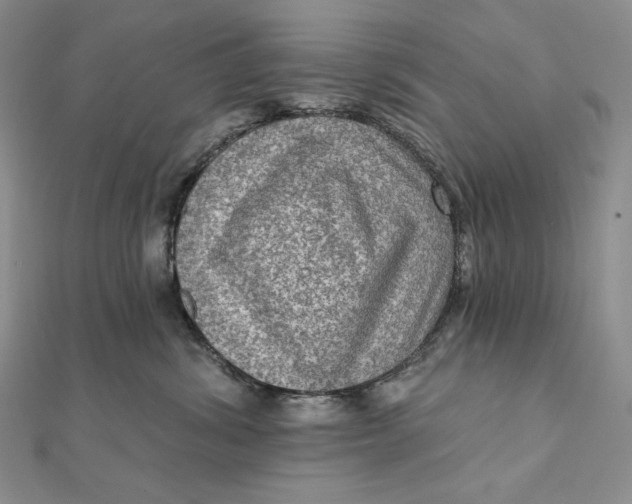 X0000112350428200909031853