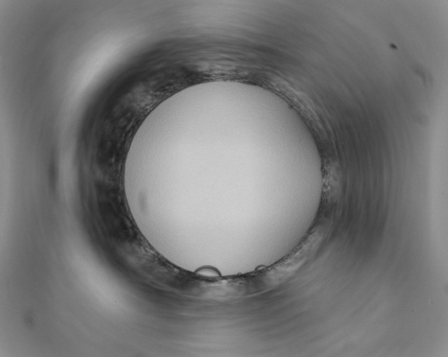 X0000112350430200909031853