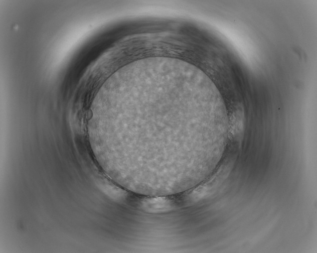 X0000112350431200909031853