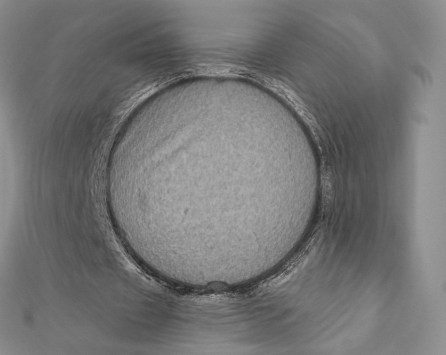 X0000112350433200909031852