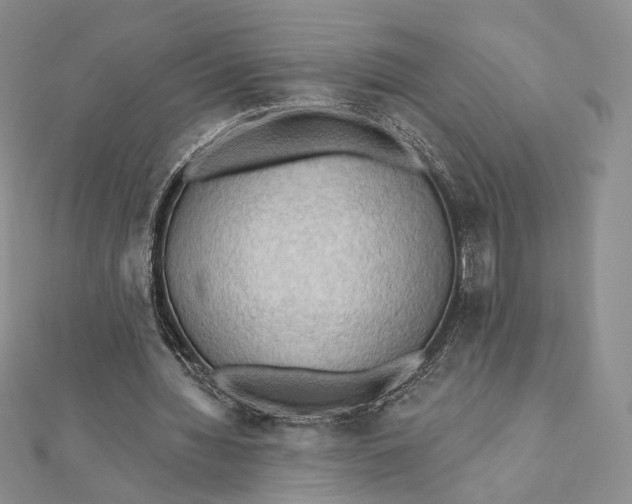 X0000112350436200909031852