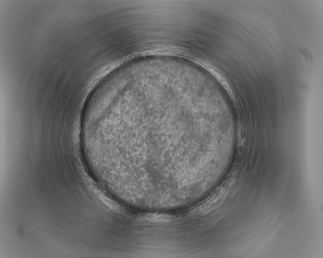 X0000112350437200909031852