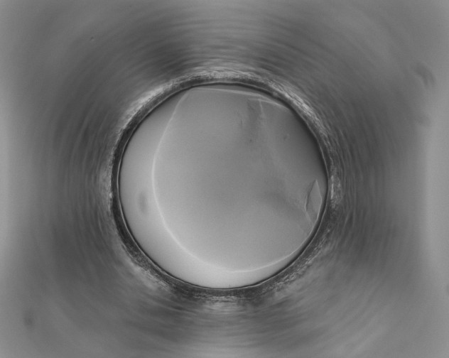 X0000112350438200909031852