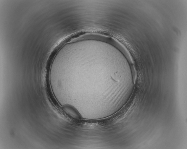 X0000112350440200909031852