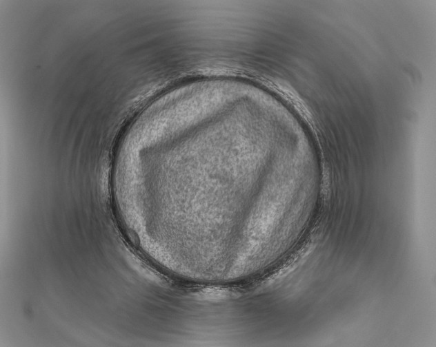 X0000112350441200909031852