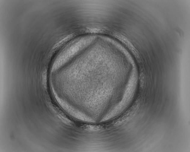 X0000112350442200909031852