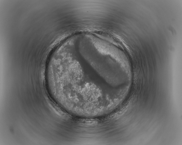 X0000112350443200909031852