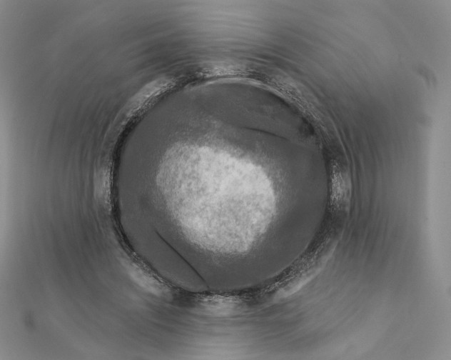 X0000112350444200909031852