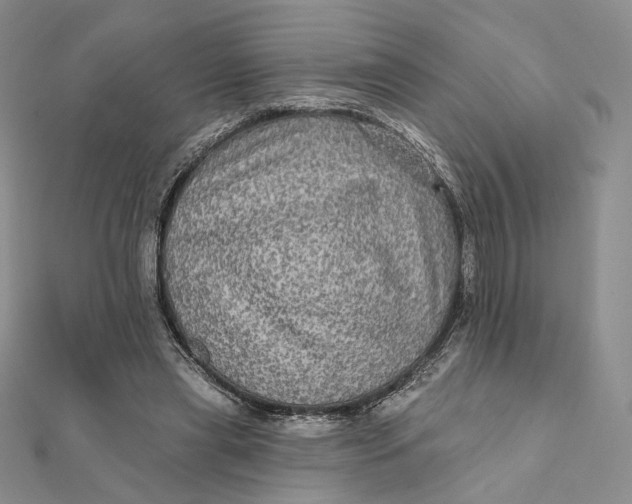 X0000112350445200909031852