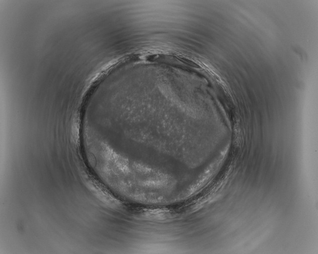 X0000112350446200909031852