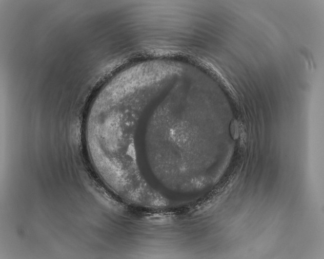 X0000112350447200909031852