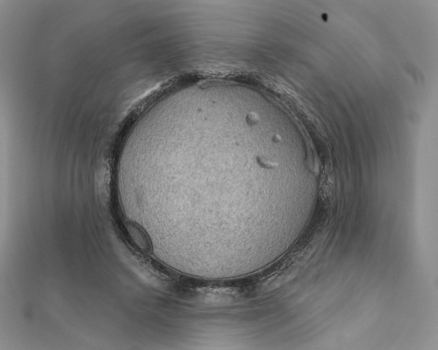 X0000112350448200909031852