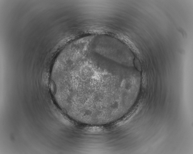 X0000112350449200909031853