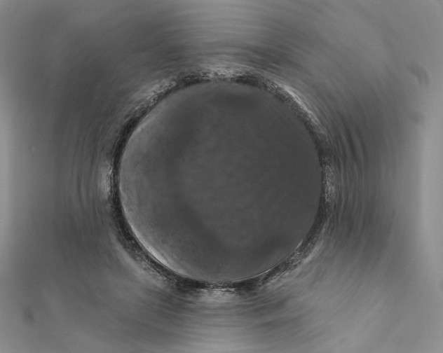 X0000112350451200909031853