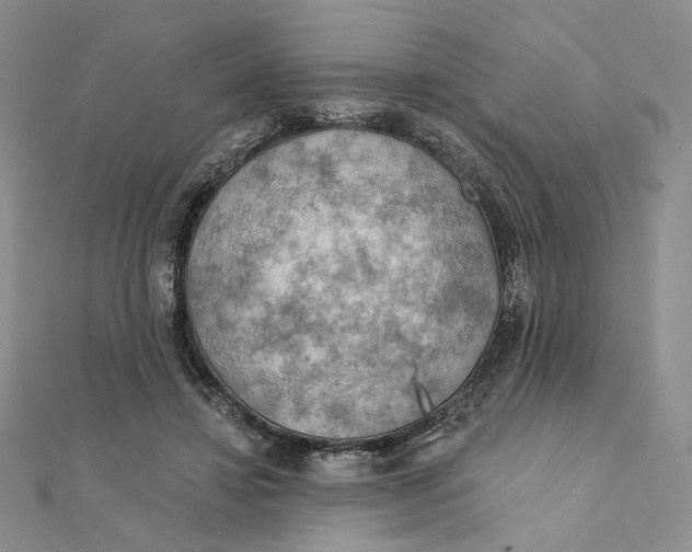 X0000112350452200909031853