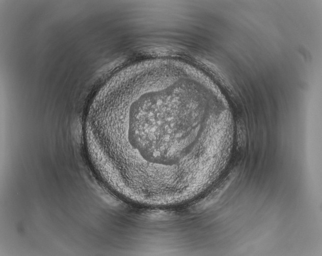 X0000112350453200909031853