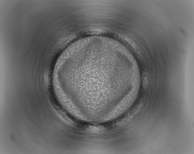 X0000112350455200909031853