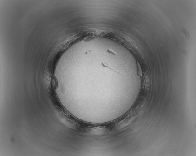 X0000112350456200909031853