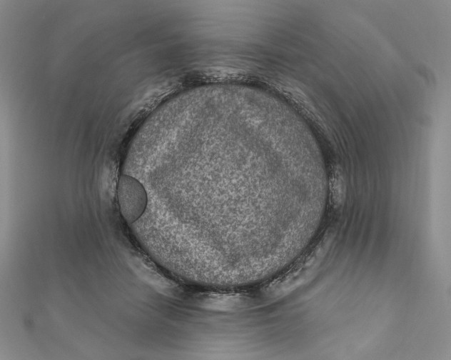 X0000112350458200909031853